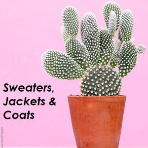 Sweaters, Jackets & Coats
